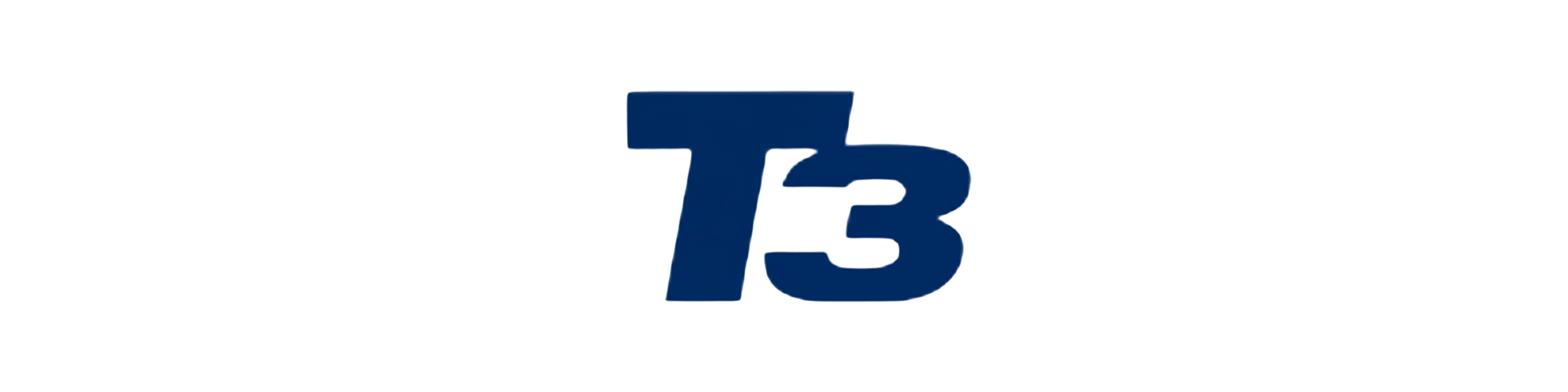 T3